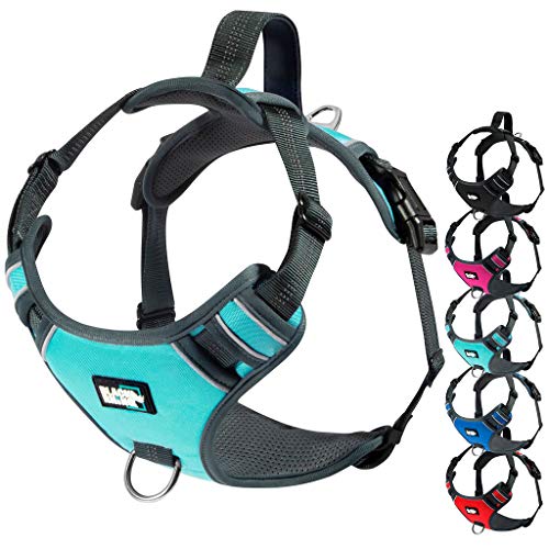 Black Rhino - The Comfort Dog Harness with Mesh Padded Vest for Small - Large Breeds | Adjustable | Reflective | 2 Leash Attachments on Chest & Back - Neoprene Padded Training Handle (Medium, Aqua/Gr)