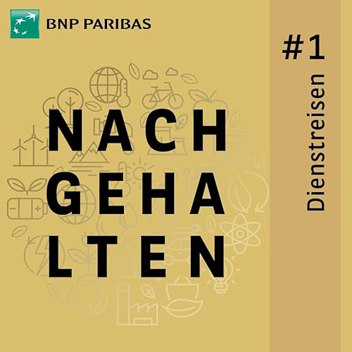 Dienstreisen &ndash; wie wir CO₂ einsparen #1