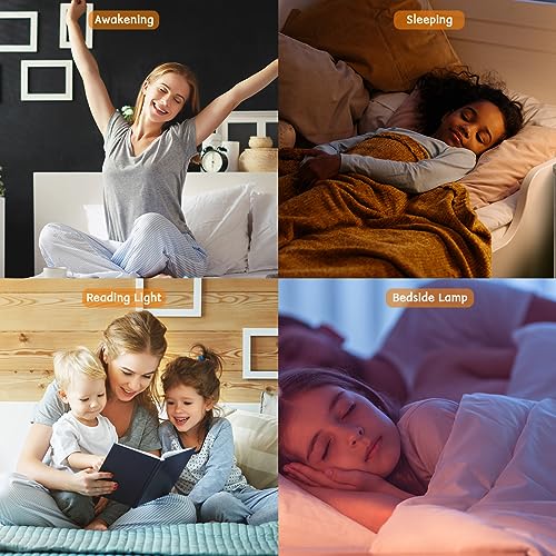 Image of iDealSleep Sunrise Wake Up Light Alarm Clock White Noise Sound Machine | Sunrise Sunset Simulation for Heavy Sleepers Kids Bedroom Dual Alarms Snooze Sound Brown Noise Machine with 25 Sounds