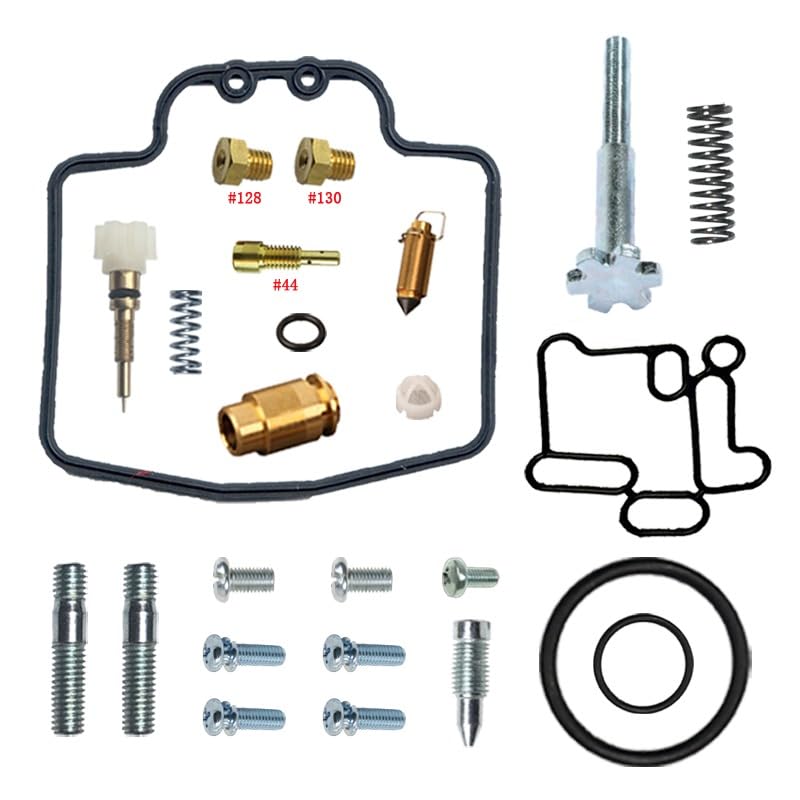 Kit Réparation Carburateur YP250 SkyLiner pour Résoudre les Problèmes de Démarrage 250cc