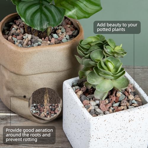 Image of 5lb Natural Dark Mixed Color Silica Gravel Pebbles, 1 /5 inch Decorative Stones for Succulents, Pebbles for Vases,Plants Rocks, Aquarium Silica Gravel, Top Dressing, Outdoor Decorative Rocks