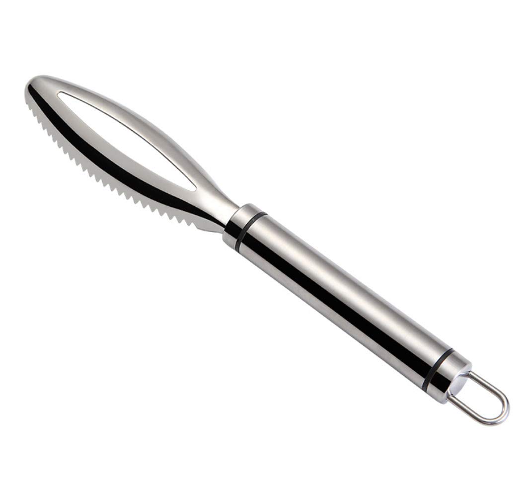 Fish Scaler Remover with Stainless Steel Sawtooth, Ergonomic Handle Design with Firm Grip for Faster and Easier Fish Scales Skin Removing Peeling, Silver Kitchen Tool