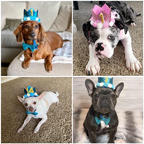 Geburtstagshut für Hunde, Katze, Hund, Geburtstagskrone, Hut und Fliege mit 0–9 Figuren, Charms, Partyzubehör für kleine, mittelgroße Welpen, Kätzchen, Blau (rosa)