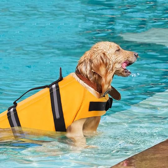hundeliebling AquaTail Gilet de sauvetage pour chien - Réglable pour chiens de taille moyenne - Poignée de sauvetage et réflecteurs - Haute flottabilité - Idéal pour la natation et le bateau