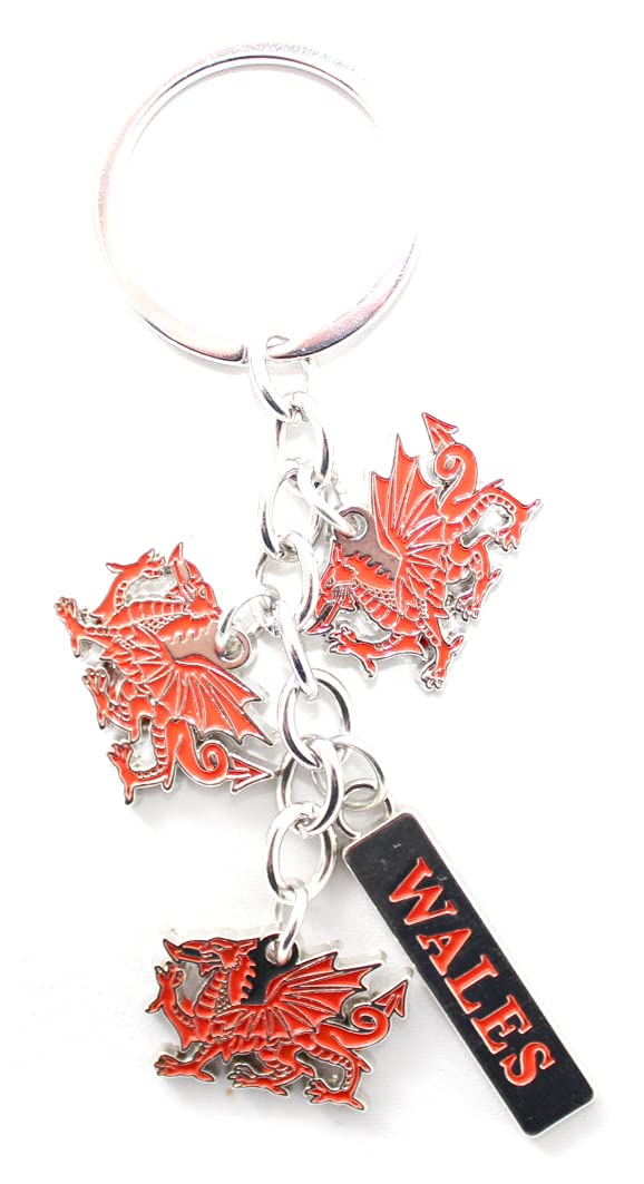 Eurostick Unisex Wales Dragon Keyring Wales Welsh Cardiff Multi Keyring Keychain Cymru Llanfair Bagcharm (Wales Dragon Keyring)