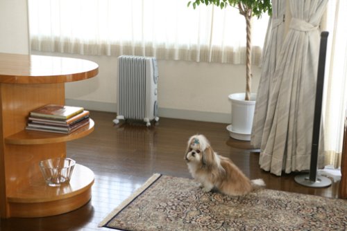 Amazon | TESY（テシー） オイルラジエターヒーター 電子式24時間ON