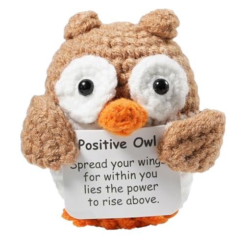 ICEKOOQIU Glücksbringer Geschenk, Positive Eule, Glücksbringer mit Umarmungen, kreative gestrickte Wolle Eule Puppen Spaß Geschenke für Freunde, Familie, Co-Worker, Geschenke für jeden Urlaub