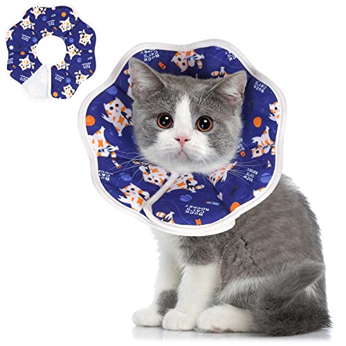 Elizabethan Collar Cat The 15 best products compared Wild Explained