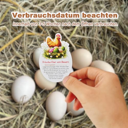 Homvik Eier-Anleitungskarten für Bauernhof, 50 Stück, Sammeldatum, Lagerungs- und Pflegetipps, Deutsch, 6x9 cm