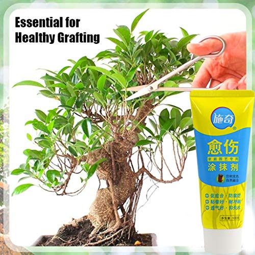 TAOtTAO Tree Pruning Cement Bonsai Cut Paste Tree Pruning Cement Bonsai
