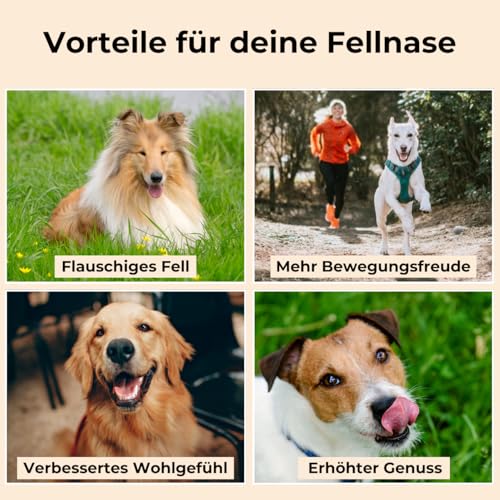 Dog-Native Wildfischöl für Hunde, Omega-3 Öl für Fell & Haut, Fischöl aus Wildfang, Barföl mit Vitamin E, Lachsöl Alternative in dunkler Glasflasche, 500ml