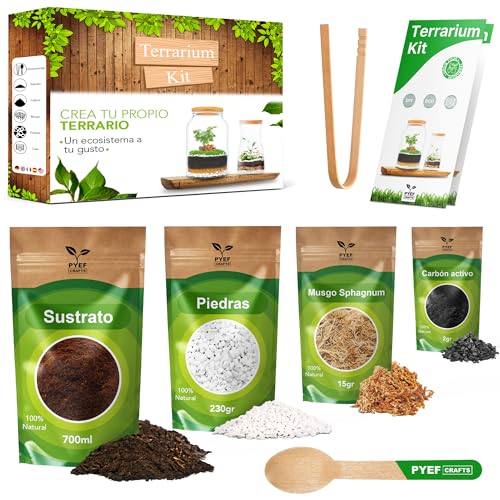 Kit Terrario Plantas DIY - Set Ecosistema Cerrado Plantas para Jardin en Botella (1-2L) - Terrarium para Bosque Eterno de Interior - Kit Creación de Terrario Sin Planta (Set sin Frasco, M)