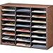 Fellowes 24-Compartment Literature Organizer, Letter Size, Medium Oak (25043)