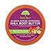 Tree Hut 24 Hour Intense Hydrating Shea Body Butter Pear & Chia Seed, 7oz, Hydrating Moisturizer with Pure Shea Butter for Nourishing Essential Body Care