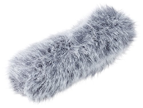 Image of Canon DM-100 Directional Stereo Microphone