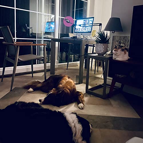 Viski-Sherry Etkilesimi