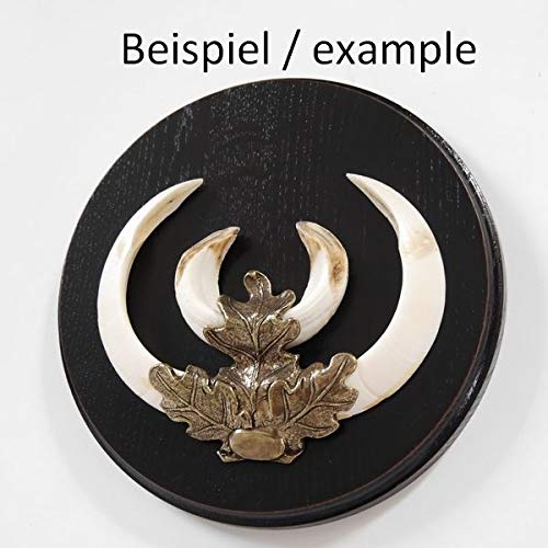 GTK - Geweihe & Trophäen KRUMHOLZ Keilerschild Keilerbrett Gewaffbrett Trophäenschild rund dunkel AF 19 cm mit Eichenlaub Deckblatt groß
