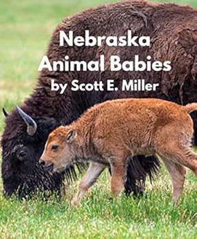 Paperback Nebraska Animal Babies Book