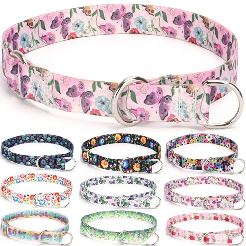 haoyueer Training Dog Collar, No Pull Martingale Collar, Slip Collar with Slidable Stop Ring for Small Medium, Large Dogs (S