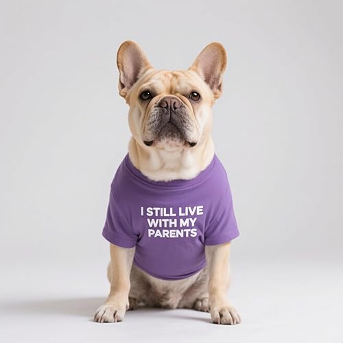 Miniatura 6 de Camisa de Bulldog Francés para Mascotas, Camisetas para Cachorros, Camiseta para Gatos, Trajes Transpirables y Elásticos, Talla Mediana