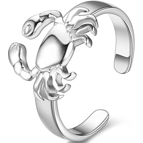 Horoscope Zodiac 12 Constellation Astrology Ring