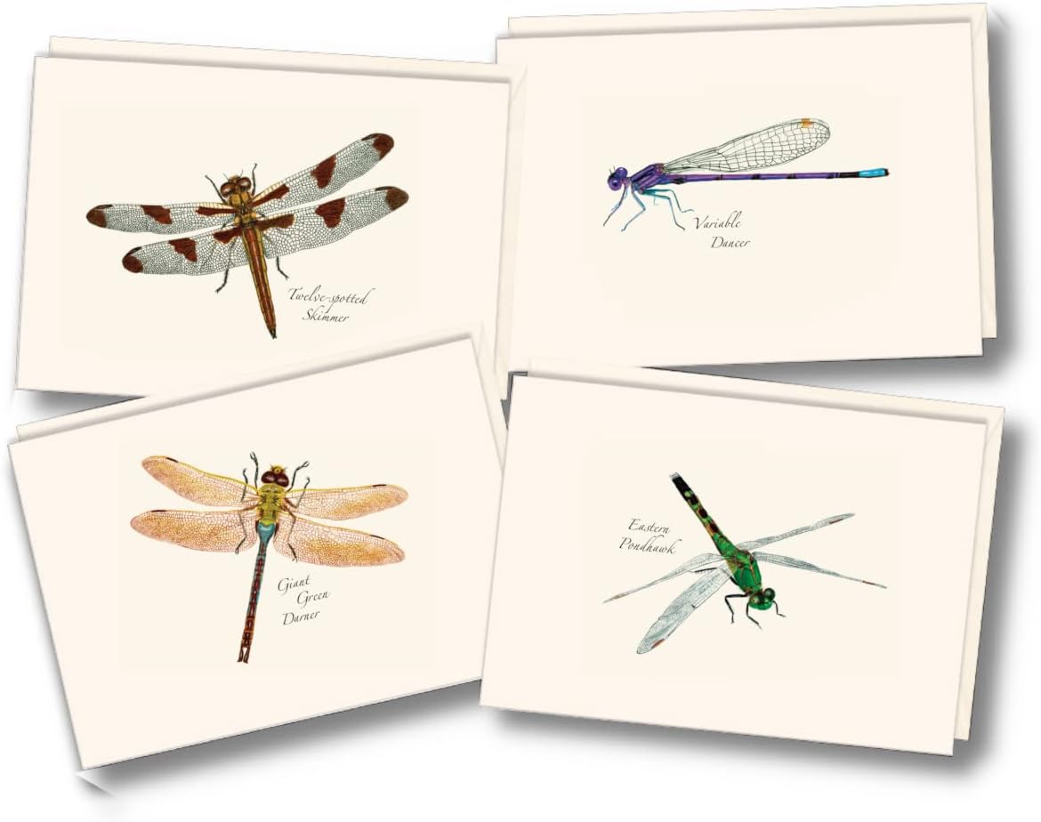 Earth Sky + Water - Dragonfly and Damselfly Assortment Notecard Set - 8 Blank Cards with Envelopes (2 each of 4 styles)
