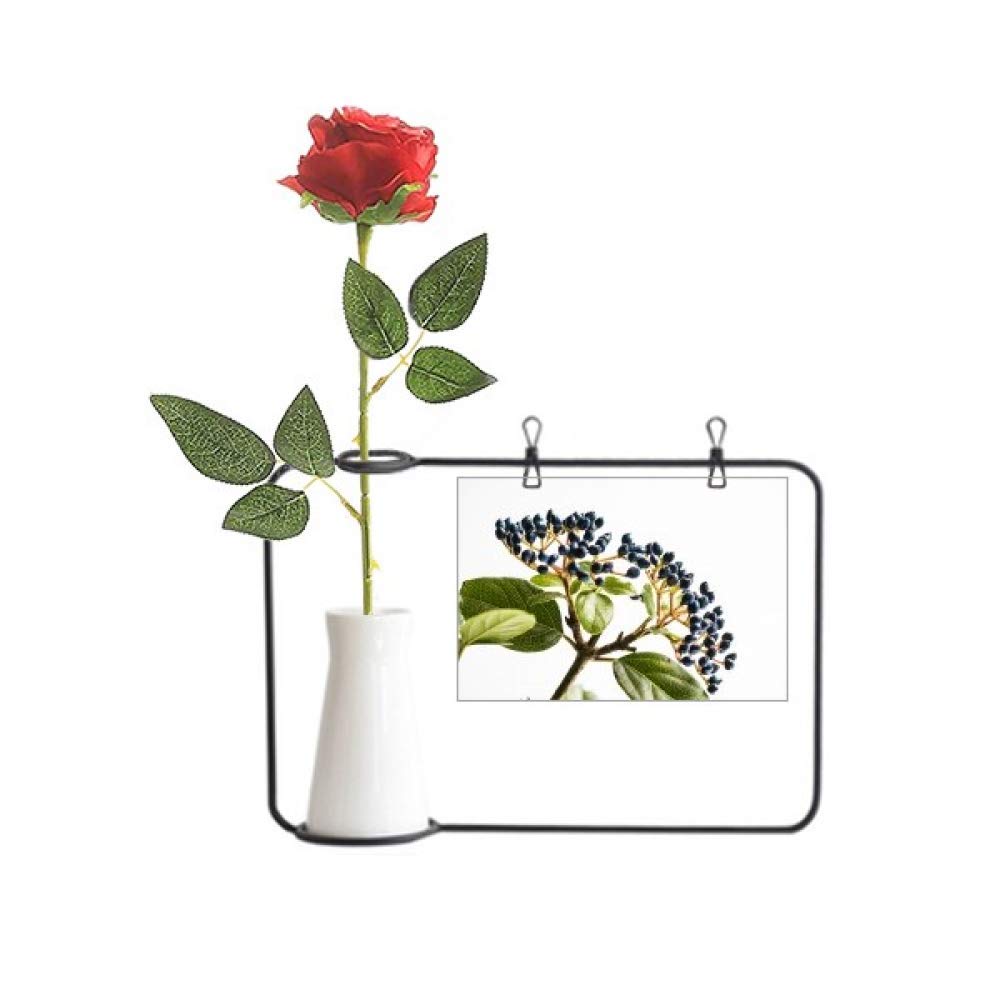 Fleur artificielle blanche Simpol Nature pour vase déco suspendu
