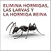 Raid Cebo Antihormigas - Insecticida Cebo Hormigas Interior y Exterior - Pack...