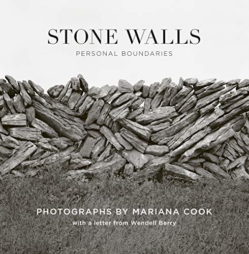 Télécharger STONE WALLS. Personal Boundaries livre En ligne