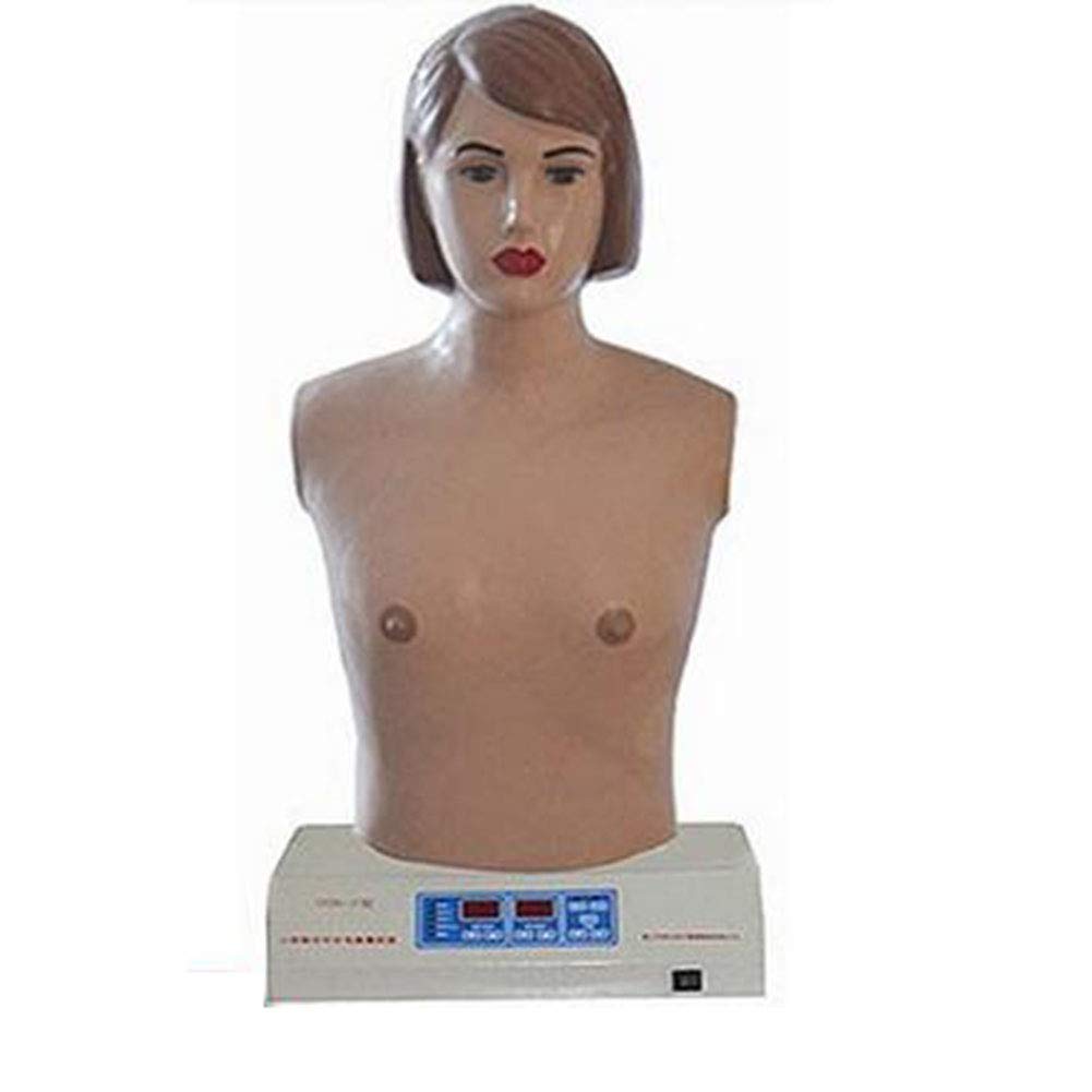 Sjdopulse Full-Automatic Cardiopulmonary Palpation Auscultation Simulator Physical Examination Simulator Medical Teaching Model