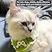Cute Cat Collar Breakaway, Adjustable Knitted Pet Bib, Fancy Girl Female Boy Cat Accessories, Knitting Dog Bandana, Comfortable Crochet Frog Scarf, Handmade Kitten Neck Decoration, Green (M)