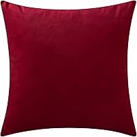 Vista 21 de Juego de 2 fundas de almohada de terciopelo para sofá y cama, 18 x 18 pulgadas, color aguamarina