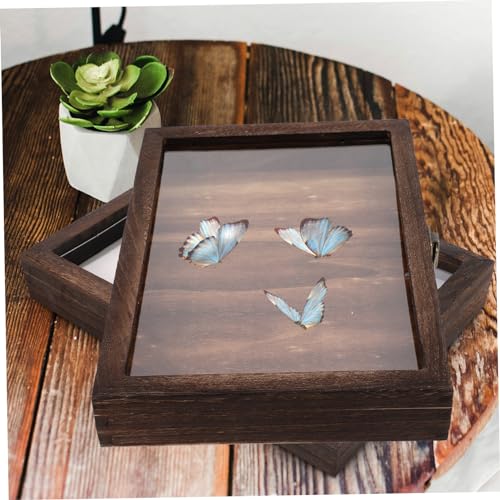 Vitrine en verre et bois pour spécimens et objets de collection