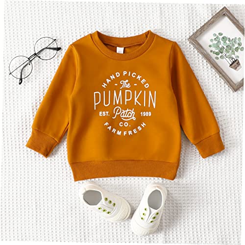 Image of Baby Boy Girl Pumpkin Sweatshirt Tops Toddler Halloween Outfit Long Sleeve Crewneck Pullover Sweater Shirt Fall Clothes