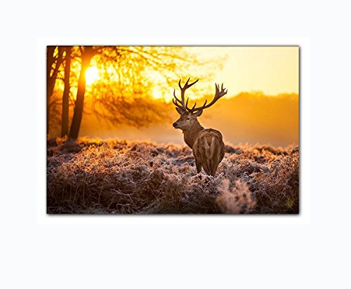 Leinwandbild Hirsch im Wald bei Sonnenuntergang Wandbild auf Keilrahmen. Beste Qualität aus Deutschland! Handgefertigt! 120x80cm
