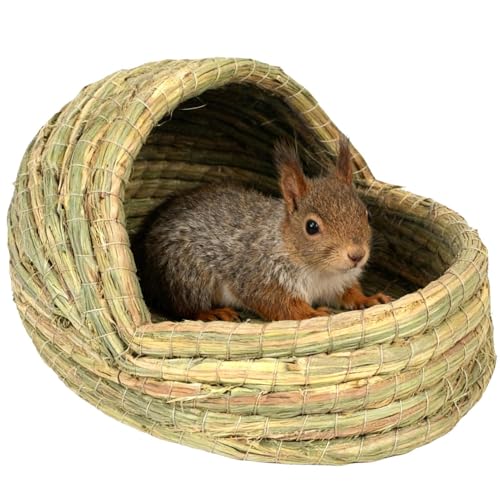 ETM xbh - ҂ p Q - ̉,{   P[W { _ ɐB  p