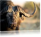 Es handelt sich hierbei um 1A Qualitätsware zu 100% Made in Germany. Unsere hochwertigen Leinwandrahmen bestehen aus ca. 18mm starkem, echtem Kiefernholz. Das von uns bedruckte Leinwandgewebe wird schon vor der Auslieferung auf den Holzrahmen gespannt. Somit benötigen Sie keinen eigenen Rahmen oder eine andere Spannvorrichtung.