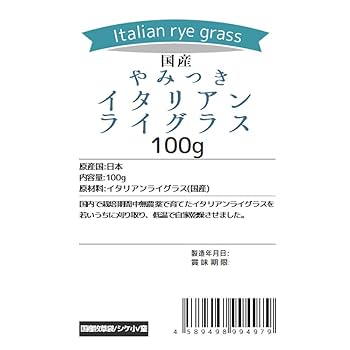 令和7年産国産やみつきイタリアンライグラス 100g 9個まとめ売り 令和7年産国産やみつきイタリアンライグラス 100g 9個まとめ売り