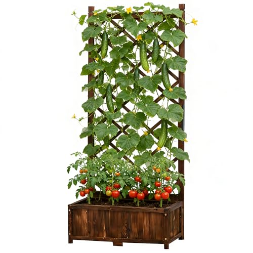 Anraja Raised Garden Bed with Trellis