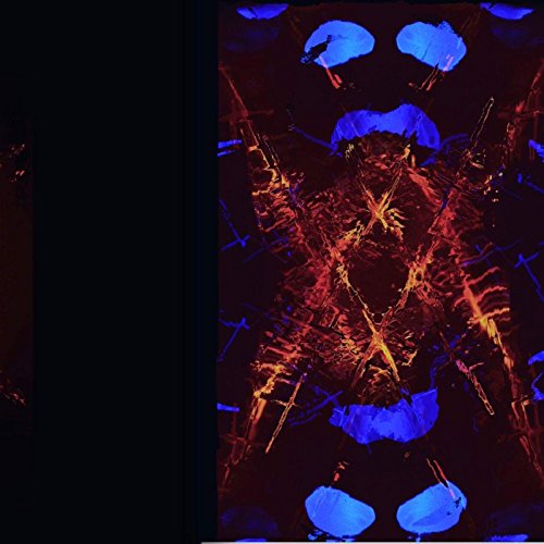 Amazon.co.jp Moving, Still Baby Seals Digital Music