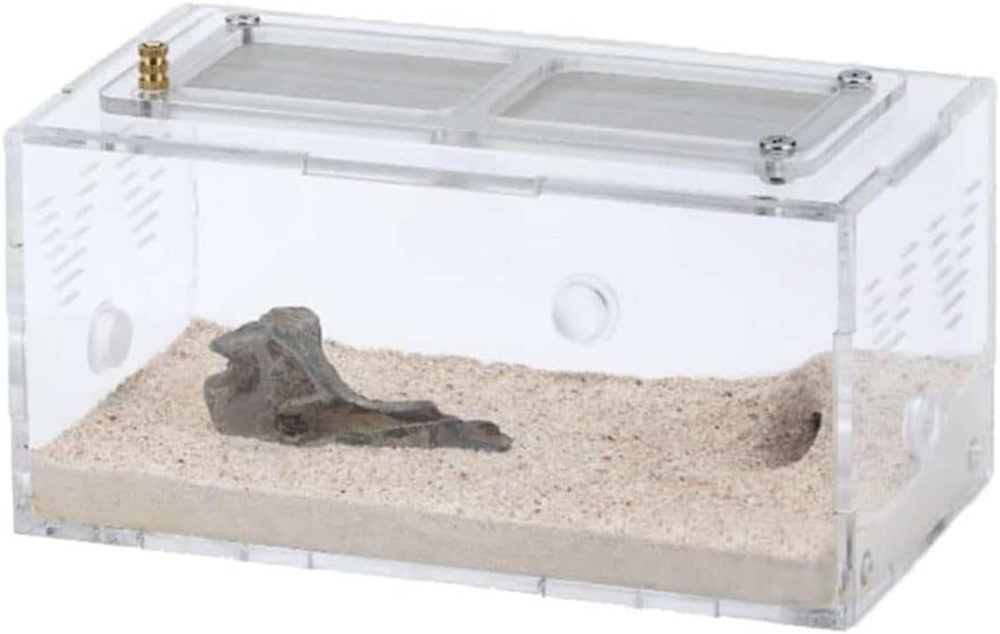Ant Farm Concrete Ant Farm with Hunting Area Unlimited Vertical Expansion Ants Nest Pet Anthill Workshop Castle Habitat(15cm)