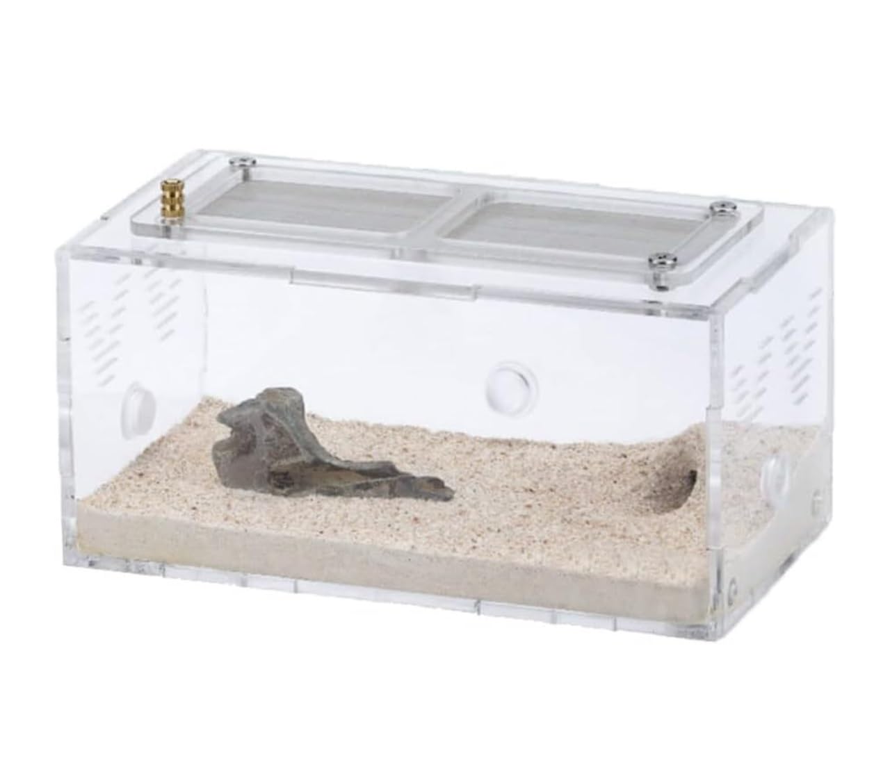 Ameisen Terrarium Betonameisenfarm Mit Jagdgebiet, Unbegrenzte Vertikale Erweiterung, Ameisennest, Haustierameisenhaufen, Werkstatt, Schloss Formicarium(7.5cm)