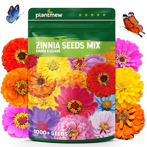PLANTMEW 1000+ Zinnia Dahlia Seeds Flower Seeds for 2026 Planting 0.35 Oz 5 Varieties (Pink Yellow Orange White Purple) 10G Mixed Colors and Large Blooms Open Pollinated - Bulk