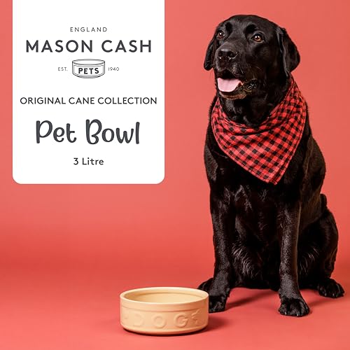 Mason Cash Cane Dog Bowl 25cm Large Stoneware Pet Bowl, 3 Litre Capacity, Classic Design, Dishwasher & Microwave Safe, Ideal for Food and Water