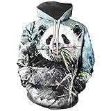 Hisayhe Cute Panda Print Hooded Pullover Novelty Hoodie for Mens Womens,Colour2,M