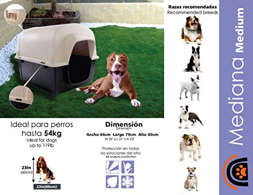 La mejor comparación de Rimax casa perro más recomendados. 25 Imagen adicional