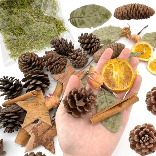 TOPJOWGA 40 Pezzi Decorazioni Natalizie, Accessori...