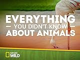 Everything You Didn't Know About Animals