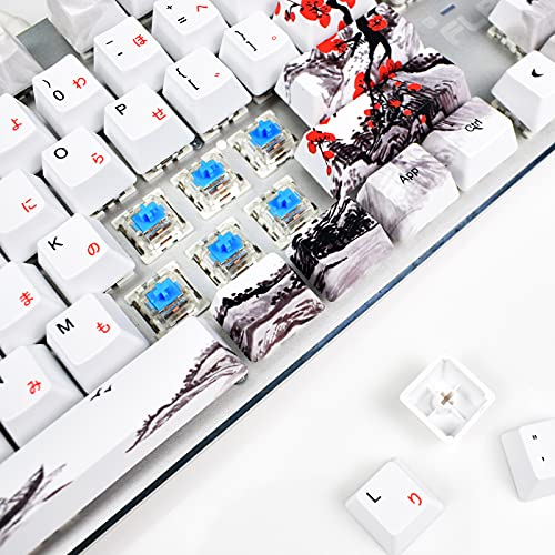 Teclas Cherry MX MOLGRIA de perfil OEM PBT con extractor de teclas 5