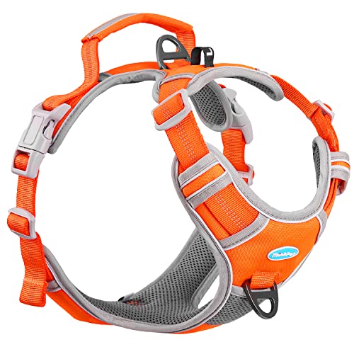 Comparison of Best Dog Harness Handle Top Picks 2023 Reviews